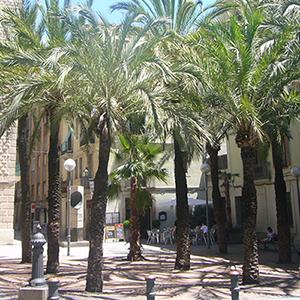 Cerrajeros Gràcia cerrajero gracia barcelona - Cerrajeros Gràcia